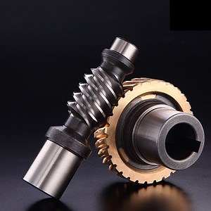 [Hot Item] High Precision Customized Anti-Backlash Stainless Steel Copper/Bronze Stepper Motor Gear and Worms