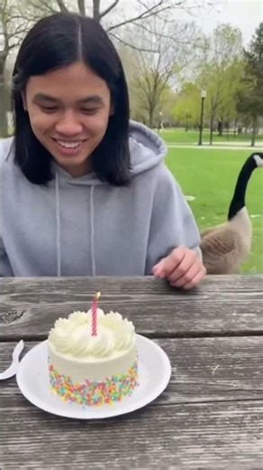 Goose Crashes Birthday Party, Steals Cake