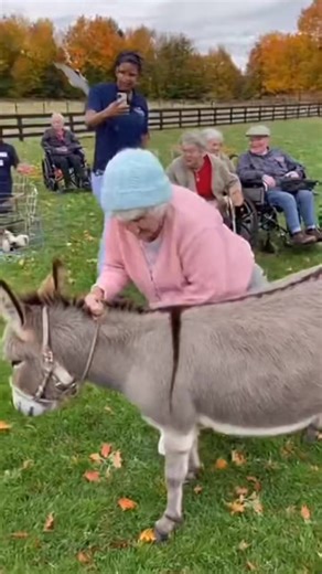 Petting zoo took a turn today! 😂 #basincreekretirementvillage #funny #pettingzoo #donkey #comedy | Basincreekretirement