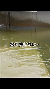 池掃除・検量の作業風景④完結編