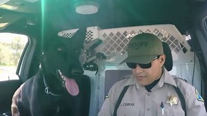 VIDEO: Sheriff's deputy first in county to take on lip sync challenge