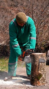 Crafting a sturdy wooden mallet from scratch using traditional woodworking techniques. Experience the satisfying process from start to finish. #Woodworking #HandCrafted #TraditionalSkills #Cooking | Wilderness Cooking