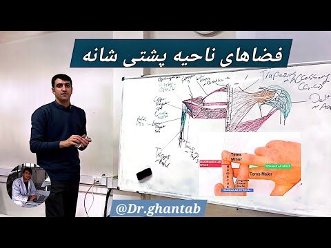 Axilla to Scapula Spaces Explained | ارتباطات مهم آگزیلا و اسکاپولا