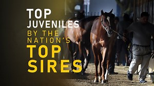 1.2K views · 11 reactions | The Midlantic May Two-Year-Olds in...