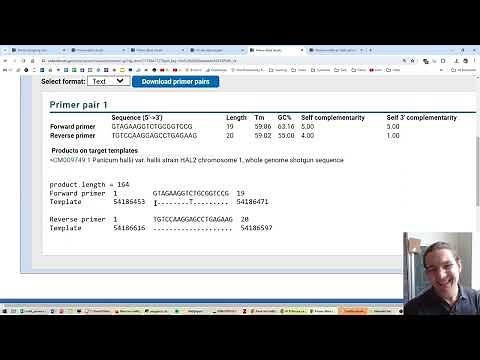 Checking primer pairs across different assemblies via NCBI Primer BLAST