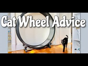 CAT WHEEL: Tips and Tricks