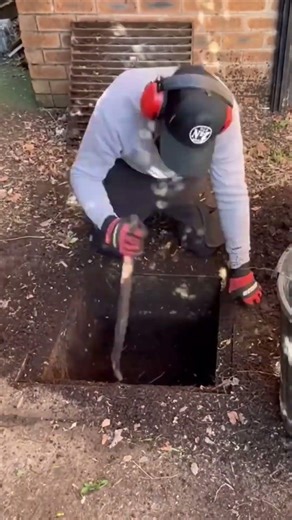 Massive Root Ball Extraction #satisfying #landscaping