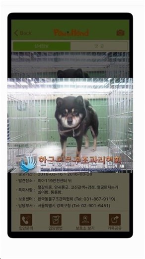 From Abandoned to Loved. Ever’s Journey