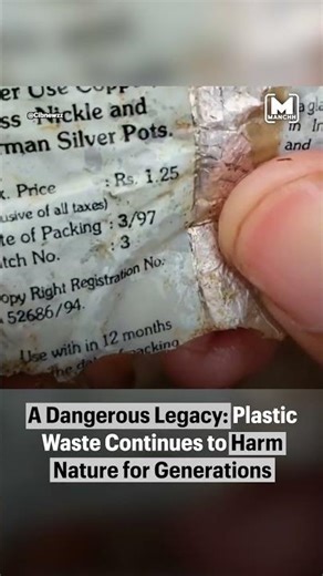 Plastic waste become permanent pollutant that harms nature and human health for generations