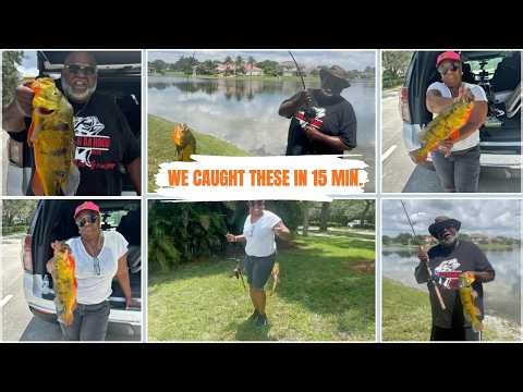 WE CAUGHT THESE IN 15 MIN #piscifun #baitcastingfishingreel #fishing #peacockbass #bassfishing #fyp