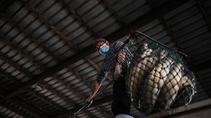 Emerging from virus lockdown, Wuhan's 'wet markets' face uncertain future