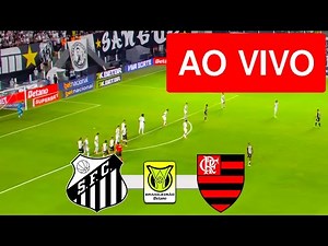 SANTOS X FLAMENGO LIVE WITH IMAGE - BRAZILIAN CHAMPIONSHIP 2025 - WATCH NOW!