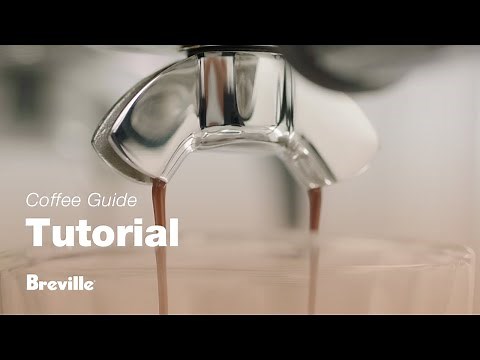 The Barista Touch™ | A complete extraction guide for the best espresso shot | Breville USA