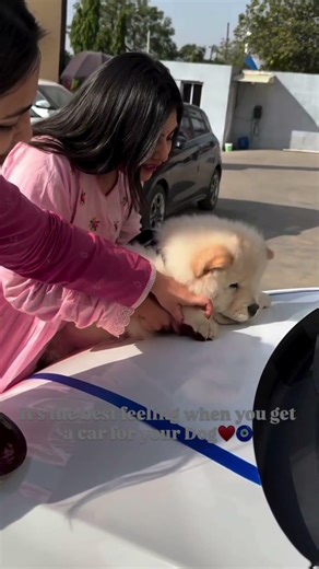New Car Blessing with My Chow Chow 🐶🚗 | Cute Paw Touch Moment ❤️