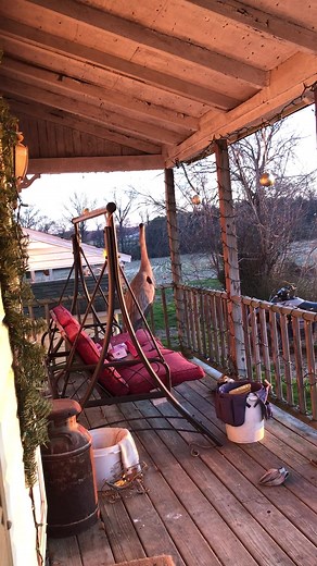 Experience a Morning with a Great Blue Heron