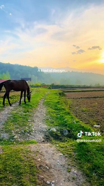 Take a deep breath and relax 🌲☁️#nature #relax #therapy #traveltiktok #fyp