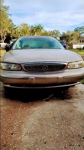 PBS Kids Sprout Logo