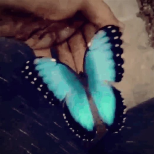 Why Is Spring Taking So Long to Arrive?