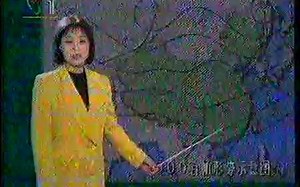 1994.12月的天气预报（怀旧）