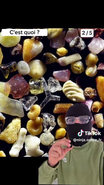 Quasi personne ne trouvera l'image à la fin ! 🤣 #microscope #microscopetiktok #macro #zoom