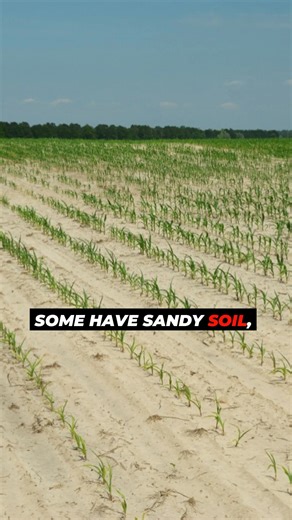 Two farms. One mile apart. Totally different yields. Farmland can look the same from the road, but what’s underneath can change everything. Topsoil depth, drainage, and texture vary from field to field, even between neighbors. One farm might raise 250 bushel corn, while the next field over struggles to hit 150. That’s why, whether you’re buying or selling, it’s important to understand the land you’re looking at and work with someone who can explain what those soil types, slopes, and textures rea