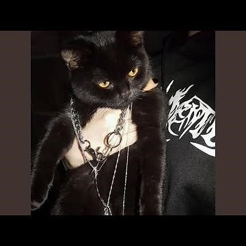 FOR WHAT? (feat. LOAT!)