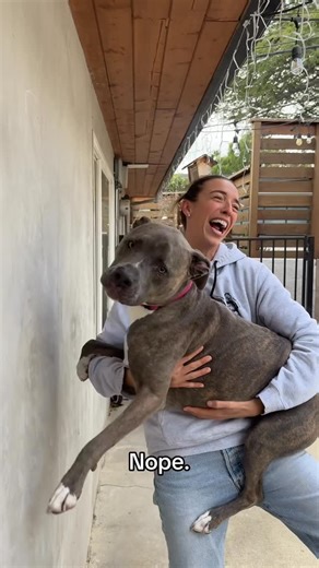 Rachel Ballinger on Instagram: "Honestly shocked with the results"