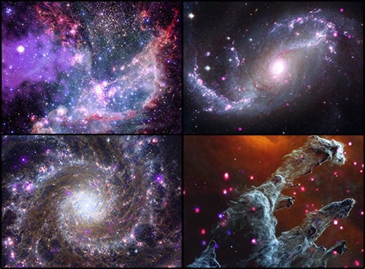 Chandra :: Photo Album :: Chandra and Webb :: May 23, 2023