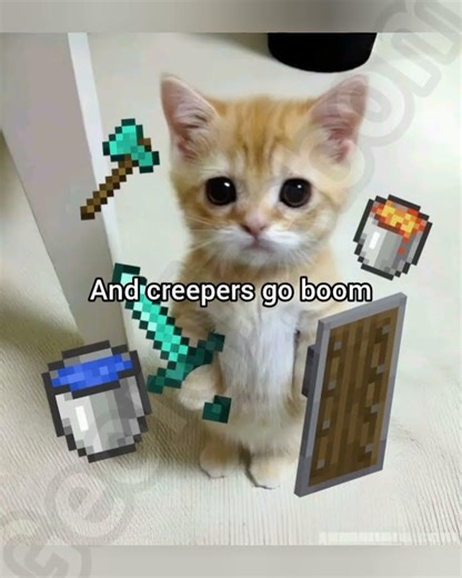 Send this to somebody who plays minecraft #cat #funny #fyp #meme #georgieebom