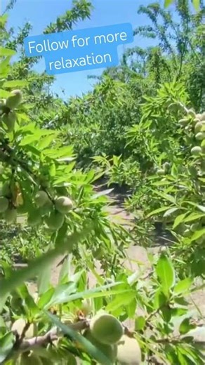 A nice day windy day to Relax