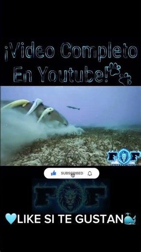 The True Guardian of the Seabed