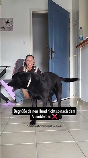 Folge @hundalleinelassen_larissa, damit dein Hund schläft, während du einkaufen bist.\n\nWenn dein Hun