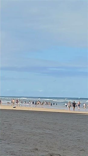 Patrolling helicopter Surfers Paradise Gold Coast QLD Australia 🇦🇺 4.23pm 3 Jan 2026