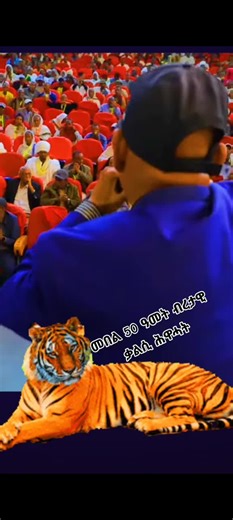 Tigray Music: A Blend of Cultures and Peaceful Vibes