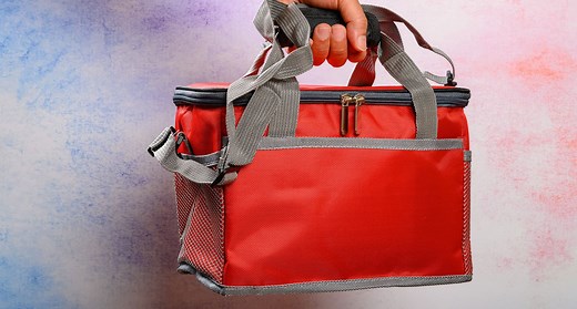 10 Best Insulated Lunch Boxes to Keep Your Meals Fresh