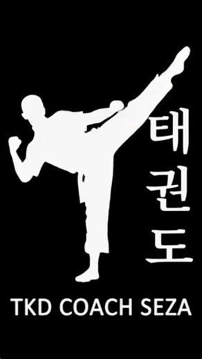 BRAND POWER: The LOGO Kicks ⚡️ #shorts #taekwondo