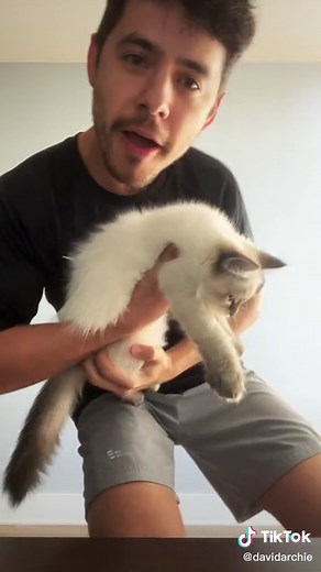 David Archuleta (@davidarchie)’s videos with The Rockafeller Skank - Fatboy Slim