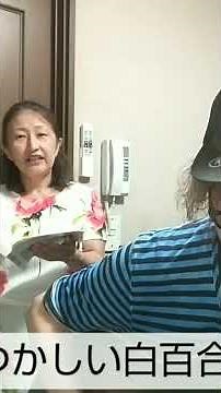 「白い色は恋人の色」 #懐かしい歌 #昭和の歌