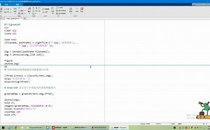 深度学习Grad-CAM算法实现