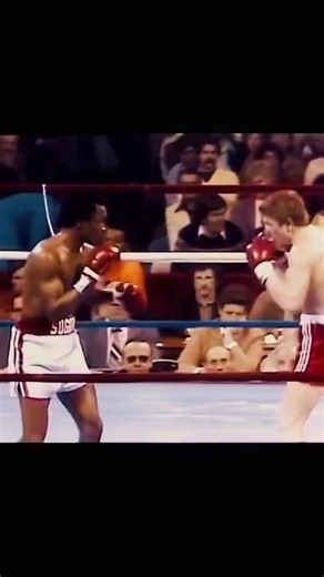 @Prime time boxing rugs Sugar Ray Leonard f #usa #usaboxing #boxingusa #lasvegas #newyork