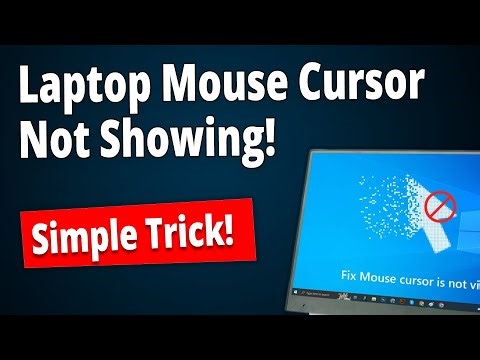 [SOLVED] Fix Laptop Mouse Cursor Not Showing in Windows 11/10