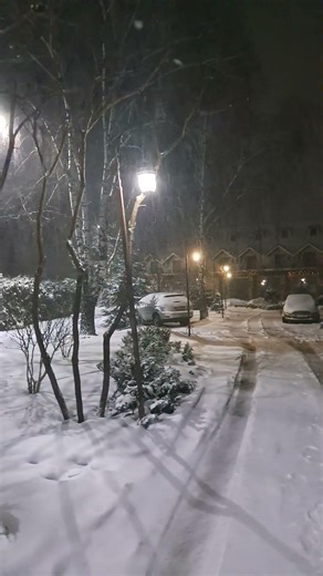 Ця зима була незабутня 😍💙🌨 #житомирщина #snow #winterspecial ‪@MRplrunner‬