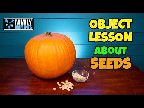 Object Lesson using Pumpkin Seeds