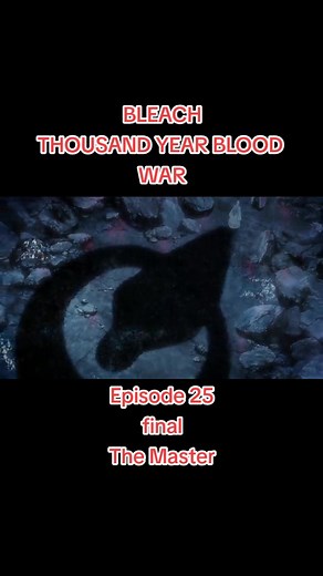 Bleach Thousand-Year Blood War Episodes - Final Master Battle