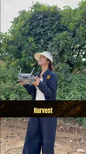 “Drone Saves 32 Tons of Apples in 3 Days! 🍎🚁 | Farmers Are Thrilled” #technology #farmdrone #drone