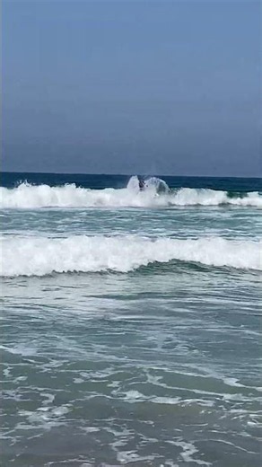 La Jolla Shores Beach Waves in San Diego California #LaJolla #SanDiego