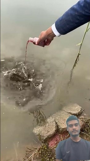 #fishing #fish #carpfishing