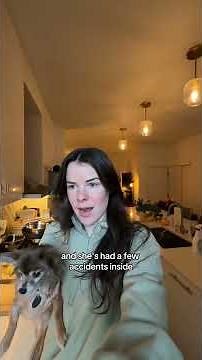 Pluto Is an Absolute Angel 🥹 | Muddy Paws Rescue #fosterdog #adopteddog #dogmom