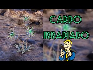 UBICACIÓN CARDO IRRADIADO| FALLOUT 76 WASTELANDERS | THE FIRULAYS