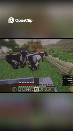 Minecraft Farming Sheep, Cows, Wheat & Diamond Axe Chaos!